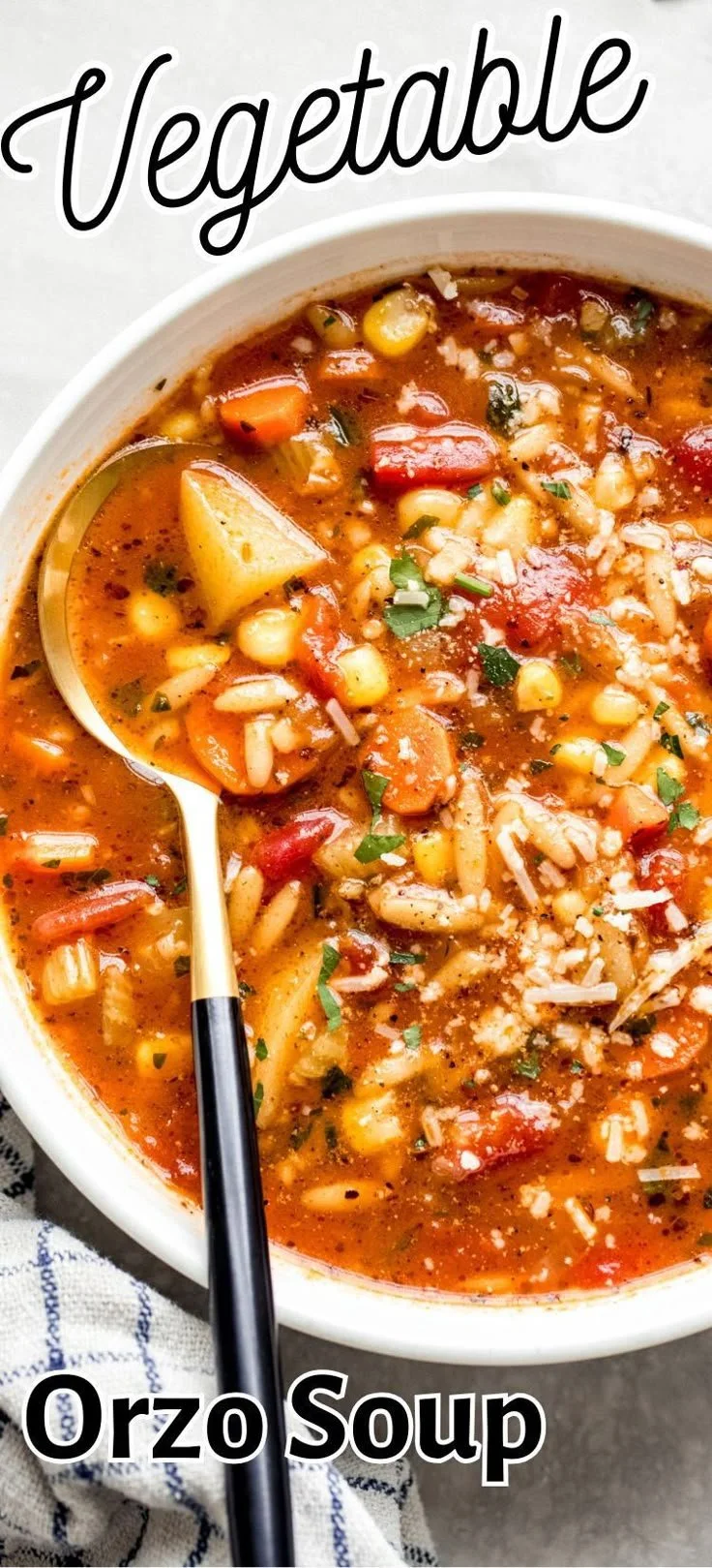 Vegetable Orzo Soup