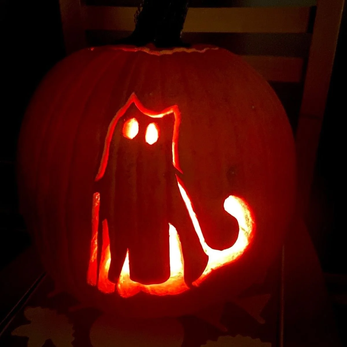 Ghost Cat pumpkin carving stencil design for Halloween pumpkins.